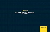 BLACKHORSE VIEW