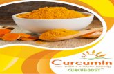 Curcumin Extract - CurcuBoost