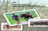 China’s Ongoing Agricultural Modernization