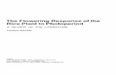 The flowering response of the rice plant to photoperiod: a ...