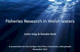 Fisheries Research in Welsh waters