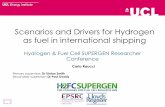 Scenarios and Drivers for Hydrogen as fuel in ...