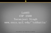 Lab03 COP 2500 Taranjeet Singh tsbhatia