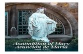 Assumption o Mary Asunción de María