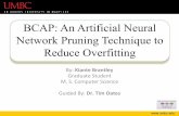 Network Pruning Technique to BCAP: An Artificial Neural ...