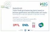 Waste2GridS: Triple-mode grid-balancing plants based on ...