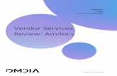 Vendor Services Review: Amdocs