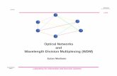 Optical Networks and Wavelength Division Multiplexing (WDM)
