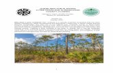 GUIDELINES FOR PLANTING A PINE ROCKLAND IN MIAMI …