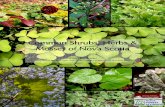 Common Shrubs, Herbs & Mosses of Nova Scotia