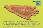 POSSIBILITIES OF USING BIOMASS FROM FORESTRY AND …