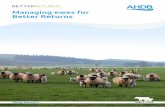 Managing ewes for Better Returns - .NET Framework