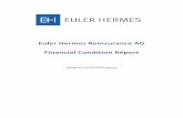 Euler Hermes Reinsurance AG Financial Condition Report