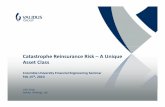 Catastrophe Reinsurance Risk –A Unique Asset Class