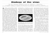 Biology ol the virus - WHO
