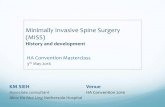 Minimally Invasive Spine Surgery (MISS)