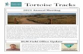 Tortoise Tracks