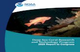 Deep Sea Coral Research and Technology Program