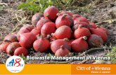 Biowaste Management in Vienna - Stadt Wien