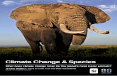 Climate Change & Species