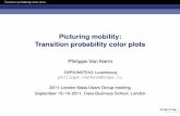 Picturing mobility: Transition probability color plots
