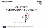 CLUSTER SHUMADIAN FLOWER - OECD