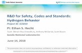 R&D for Safety, Codes and Standards - Energy