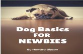 Dog Basics For Beginners