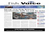 Special Report – Page 3 Deep-sea ﬁ sh horror: thousands ...