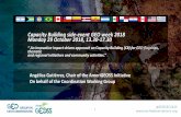 Capacity Building side-event GEO week 2018 Monday 29 ...