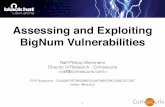 Assessing and Exploiting BigNum Vulnerabilities