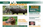 PAThoroughbred A Publication of the Pennsylvania Horse ...