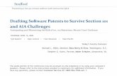 Drafting Software Patents to Survive Section 101 and AIA ...