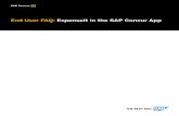 End User FAQ: ExpenseIt in the SAP Concur App