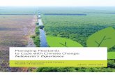 Managing Peatlands to Cope with Climate Change: Indonesia ...