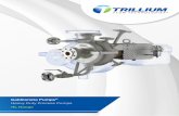 Heavy Duty Process Pumps - Trillium Flow Technologies™