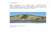 Chapter 6 The Impact of Bed-scale Sedimentary ...