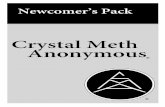 The Twelve Steps of Crystal Meth Anonymous