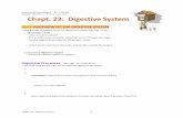 Part I OVERVIEW OF THE DIGESTIVE SYSTEM