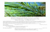 A Sacred Meal for a Dispersed Community Palm Sunday ~ 28 ...