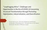 Leapfrogging Africa’’: Challenges and Opportunities in the ...