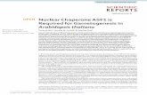 Nuclear Chaperone ASF1 is Required for Gametogenesis in ...