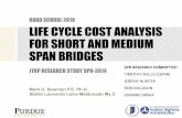 Life Cycle Cost Analysis for Short and Medium Span Bridges
