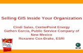 Selling GIS Inside Your Organization