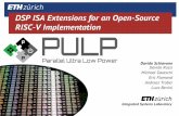 DSP ISA Extensions for an Open-Source RISC-V …