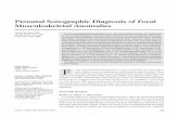 Prenatal Sonographic Diagnosis of Focal Musculoskeletal ...