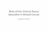 Role of the Clinical Nurse Specialist in Breast Cancer