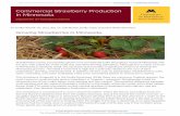 Commercial Strawberry Production in Minnesota