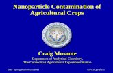 Nanoparticle Contamination of Agricultural Crops