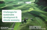 circular economy development & sustainable Challenges for